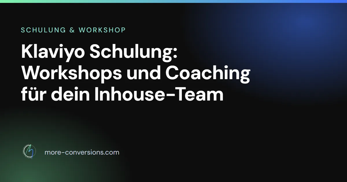 Klaviyo Schulung und Workshop von More Conversions